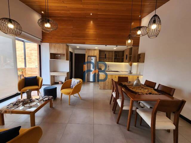 Suite para Alquiler en Cuenca - 5