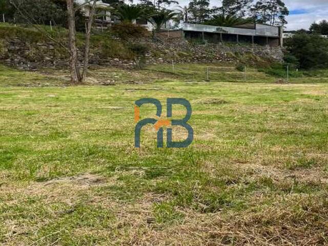 Terreno para Venta en Cuenca - 2