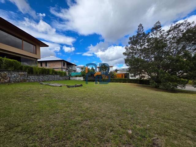 Venta en Colinas de Challuabamba - Cuenca