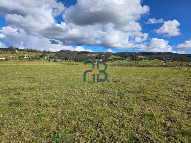 #MJ3061 - Terreno para Venta en Cuenca - A
