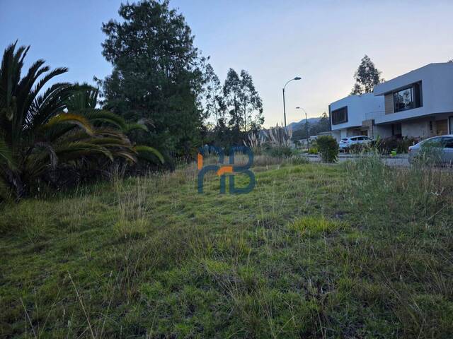 Terreno para Venta en Cuenca - 4