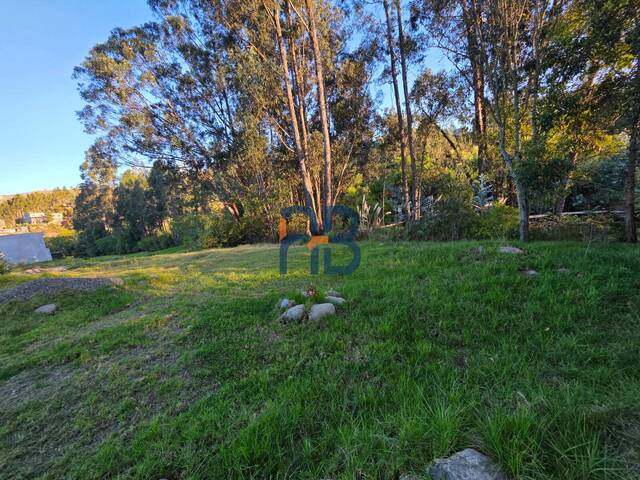 Terreno para Venta en Cuenca - 5