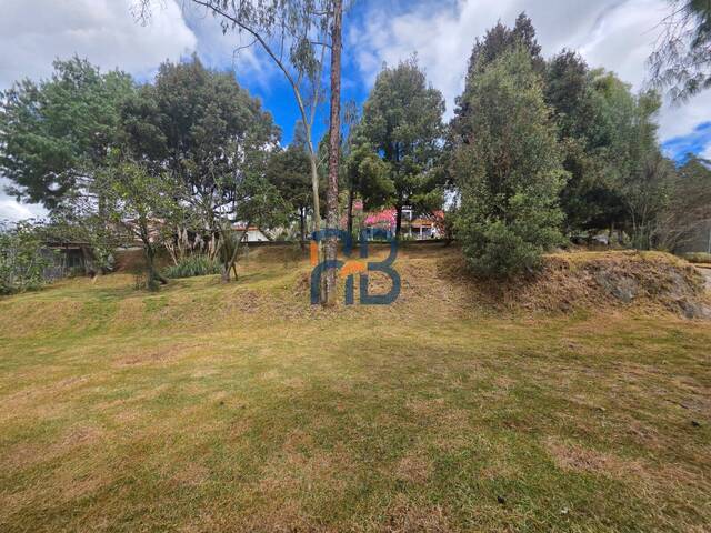 Hacienda - Quinta para Venta en Cuenca - 5