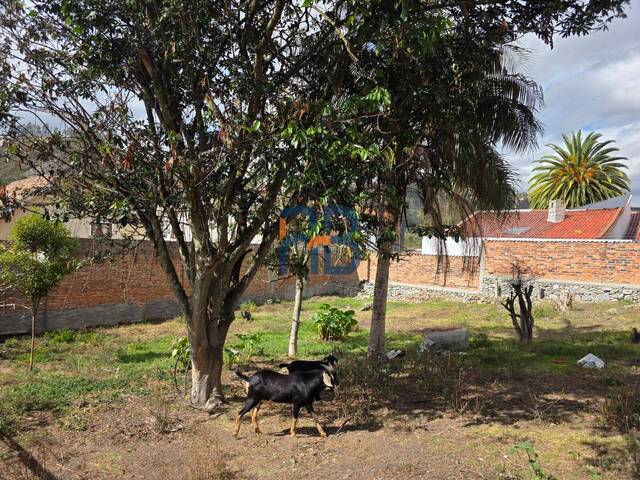Terreno para Venta en Cuenca - 4