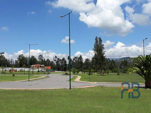 Terreno para Venta en Cuenca - 2