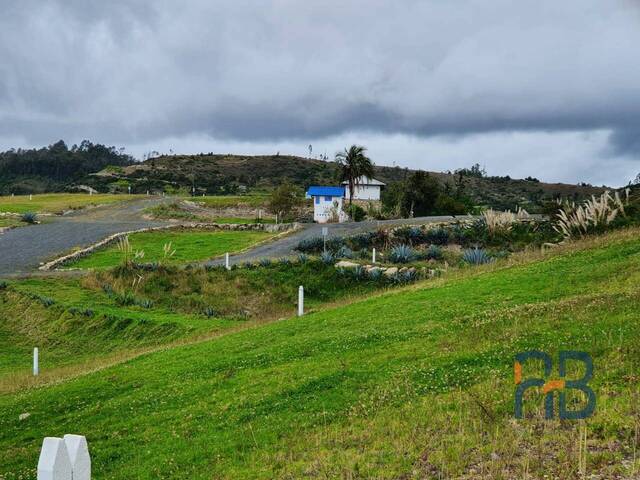 Terreno para Venta en Cuenca - 4