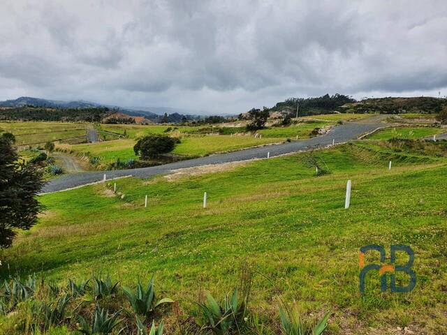 Terreno para Venta en Cuenca - 1