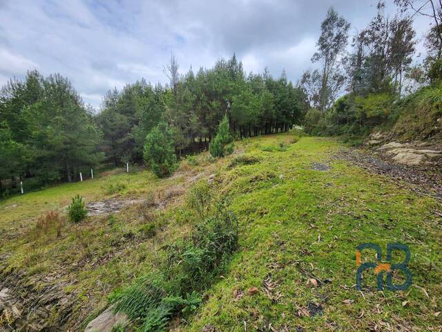 Terreno para Venta en Cuenca - 1