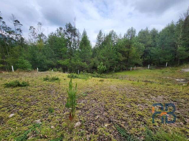 Terreno para Venta en Cuenca - 2