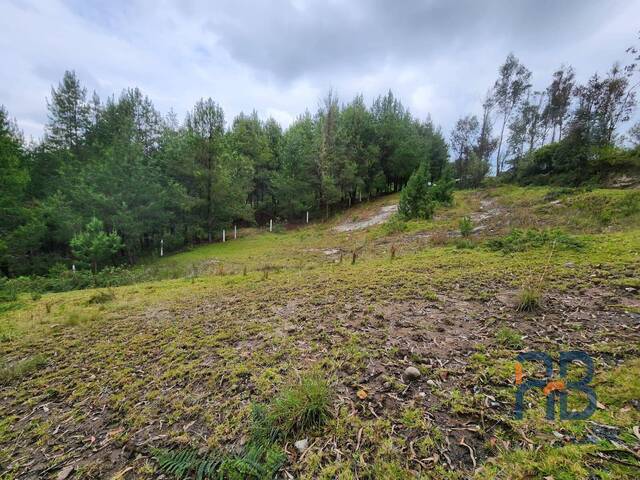 Terreno para Venta en Cuenca - 3