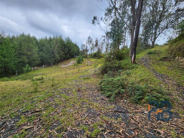 Terreno para Venta en Cuenca - 5