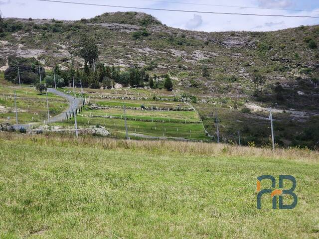 Terreno para Venta en Cuenca - 4